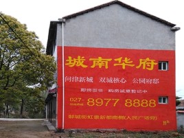 建湖百分之90的人都不了解的农村墙体广告