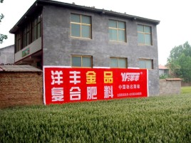 建湖如何让墙体广告展现最大化效果