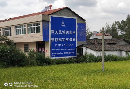 建湖决定墙体广告价格的因素有哪些？