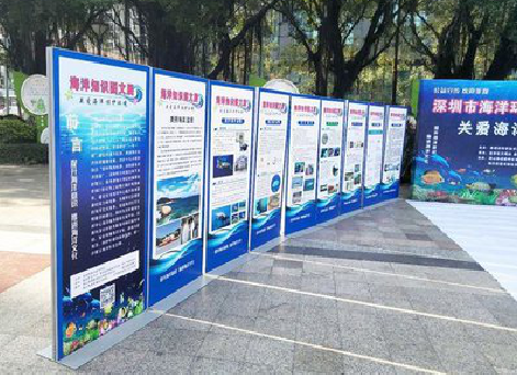 建湖KT板的种类和知识。